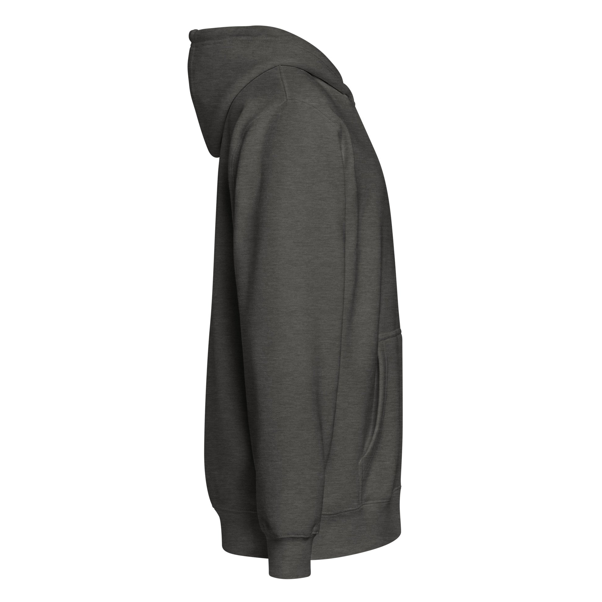 Born Twice Premium Zip Hoodie charcoal heather right side — Christian streetwear zip hoodie