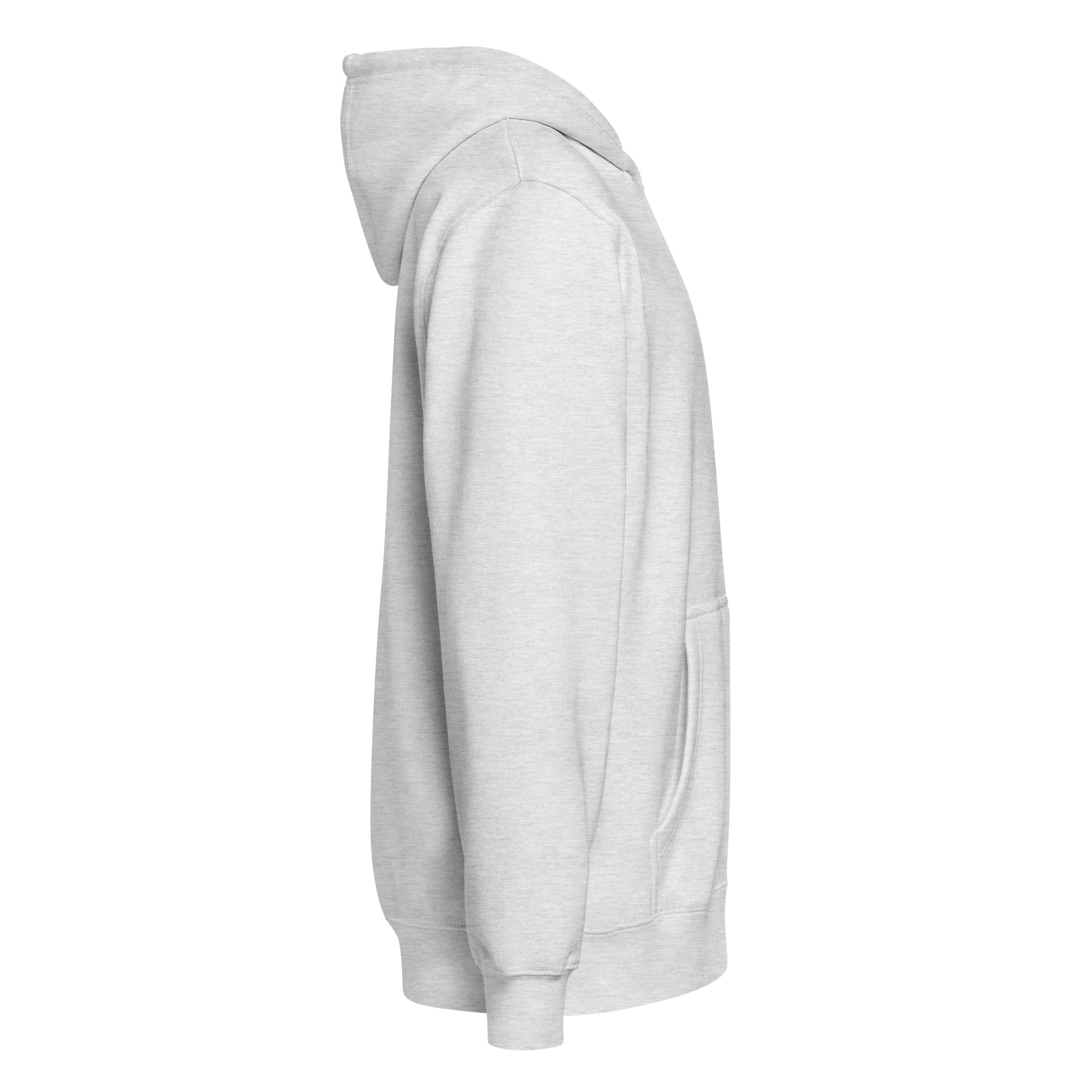 Image of Born Twice Premium Zip Hoodie heather grey right side — Jesus hoodie grey Christian apparel