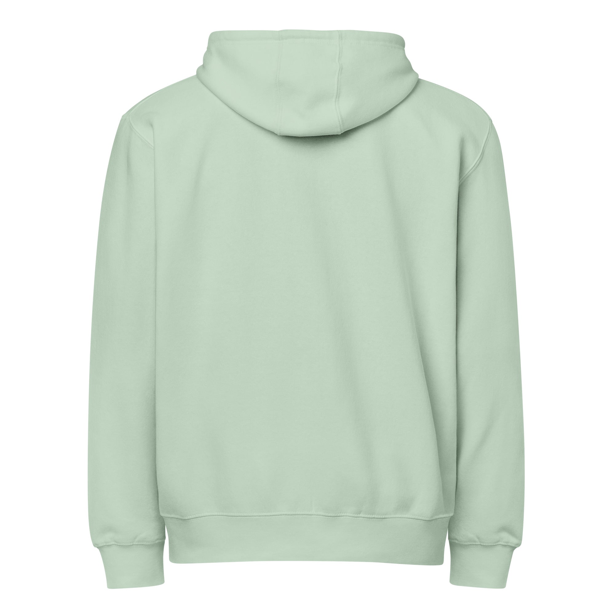 Image of Born Twice Premium Zip Hoodie seafoam back — God hoodie seafoam Entrusted to Him John 3:3