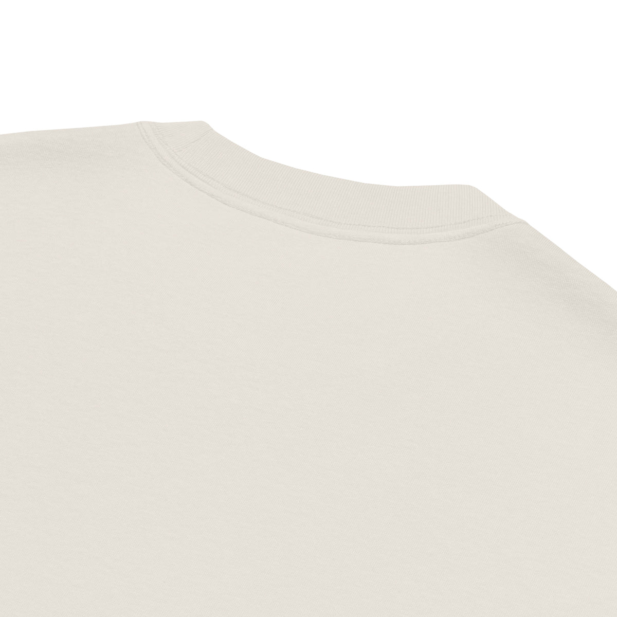 Close-up of the neckline and collar on the One Way embroidered oversized faded t-shirt in faded bone