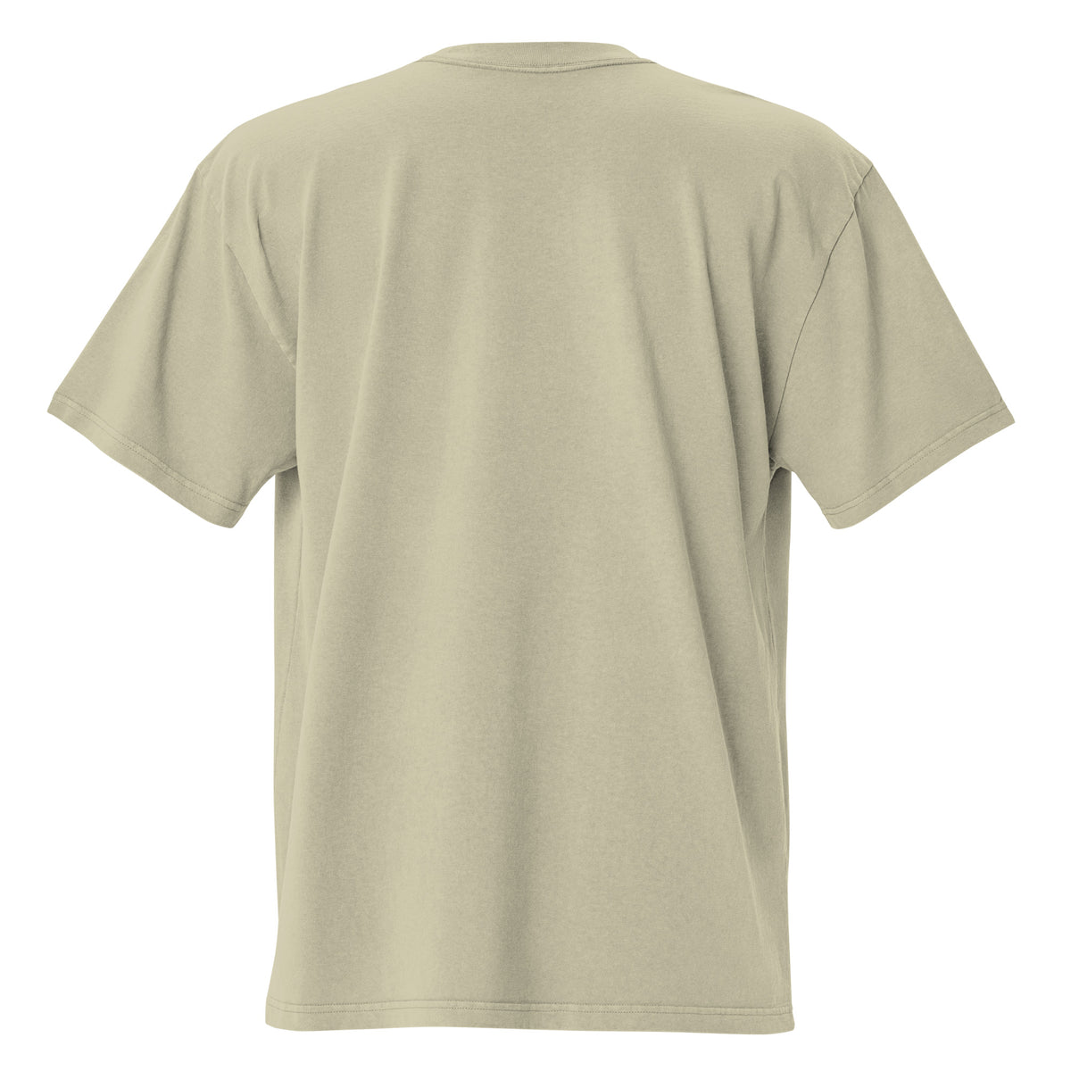 One Way embroidered oversized faded t-shirt in faded eucalyptus, plain back view