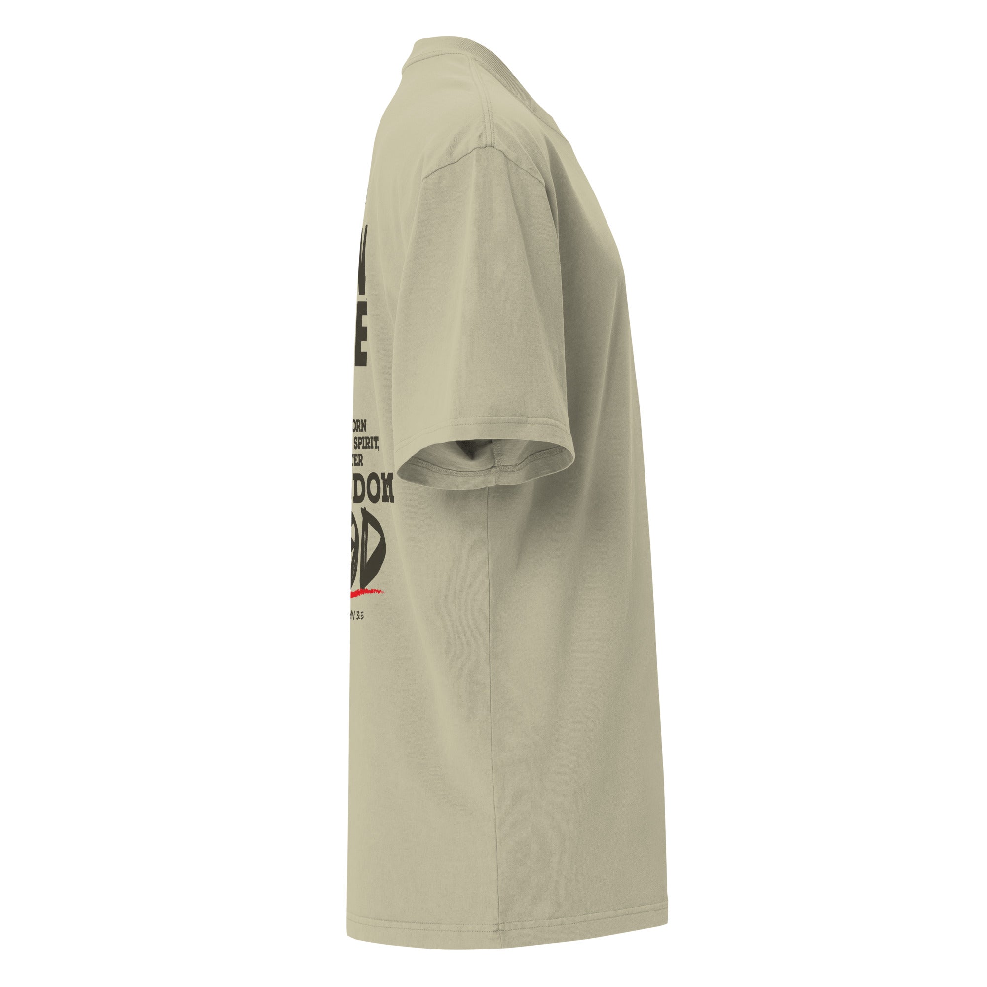 Image of Born Twice Christian apparel faded eucalyptus right side view — Entrusted to Him