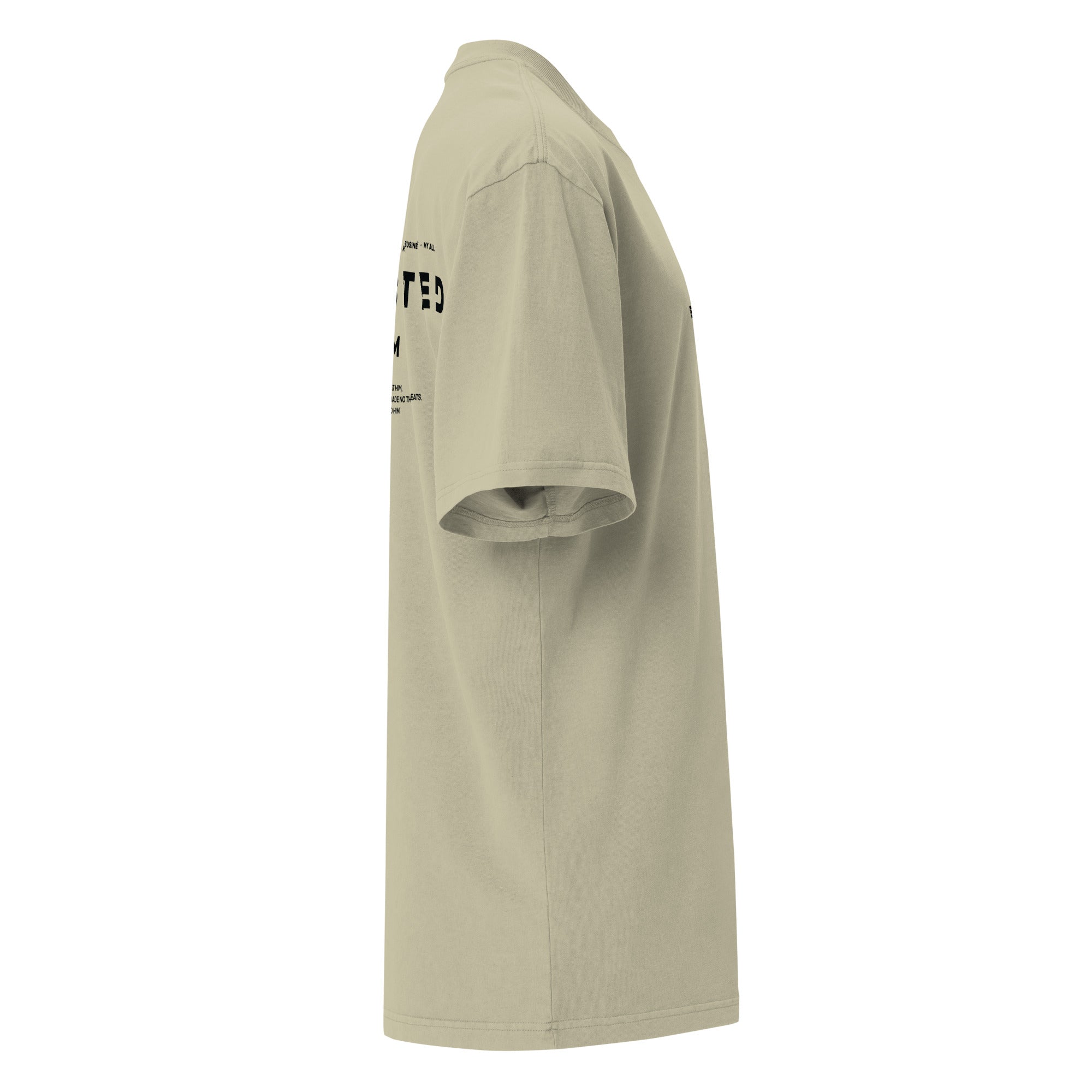 Image of Entrusted Christian clothing faded eucalyptus right side view — Entrusted to Him