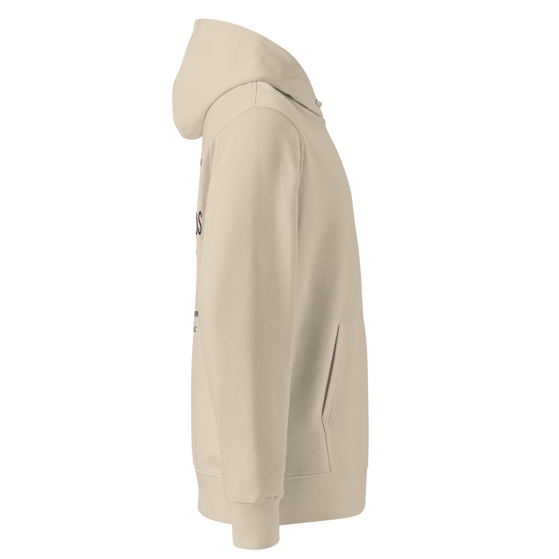Forged in His Hands Christian hoodie desert dust side view — Entrusted to Him