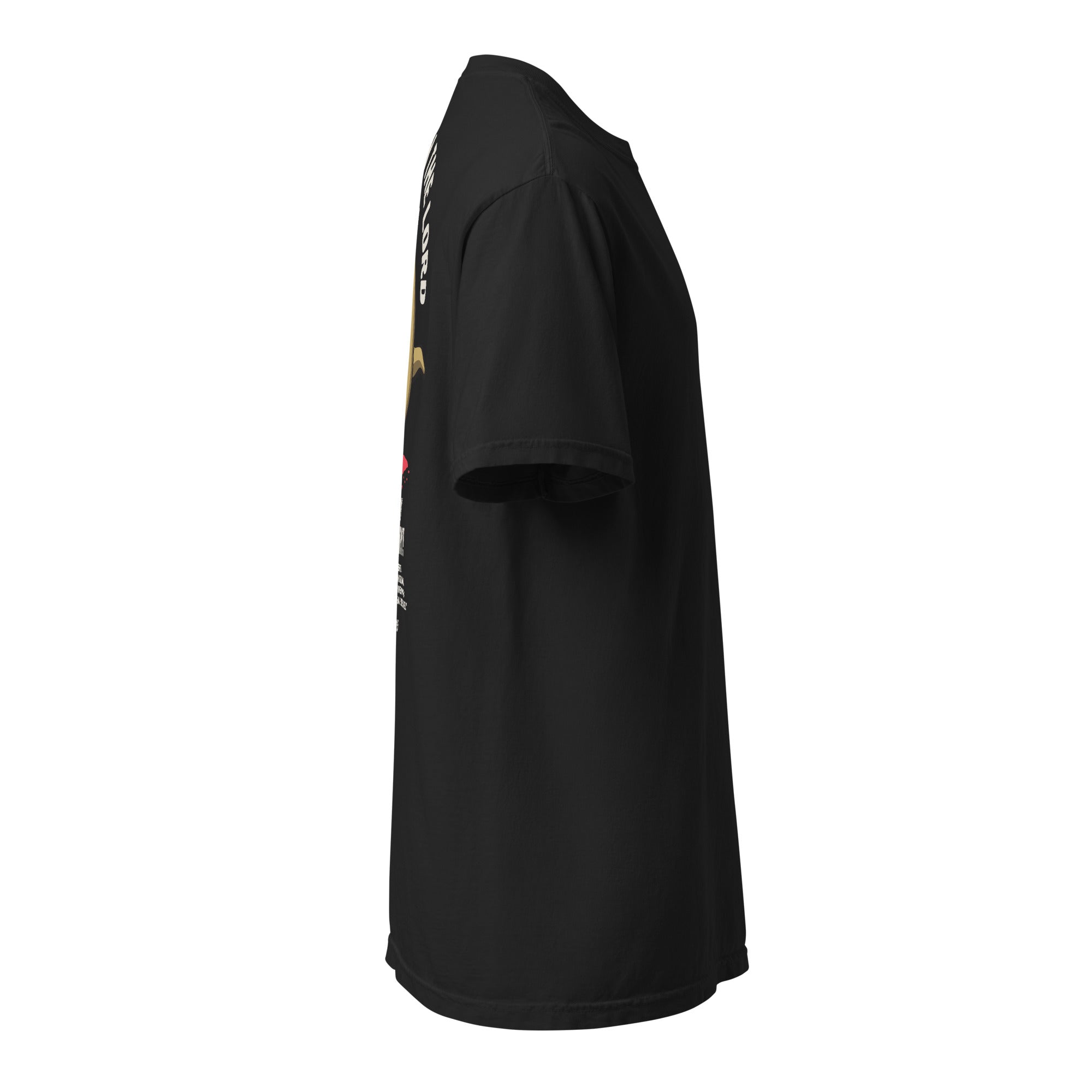Image of Victorious Jesus shirt black right side view — Entrusted to Him