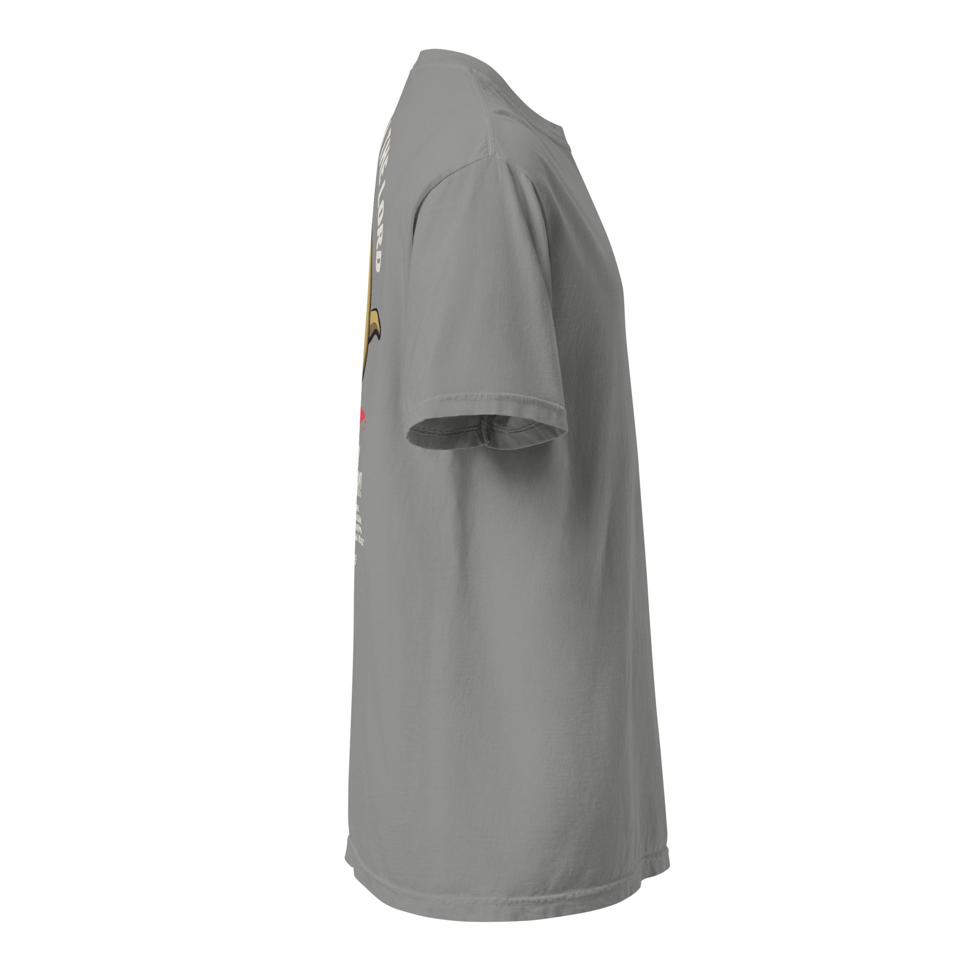 Image of Victorious christian graphic tee grey right side view — Entrusted to Him