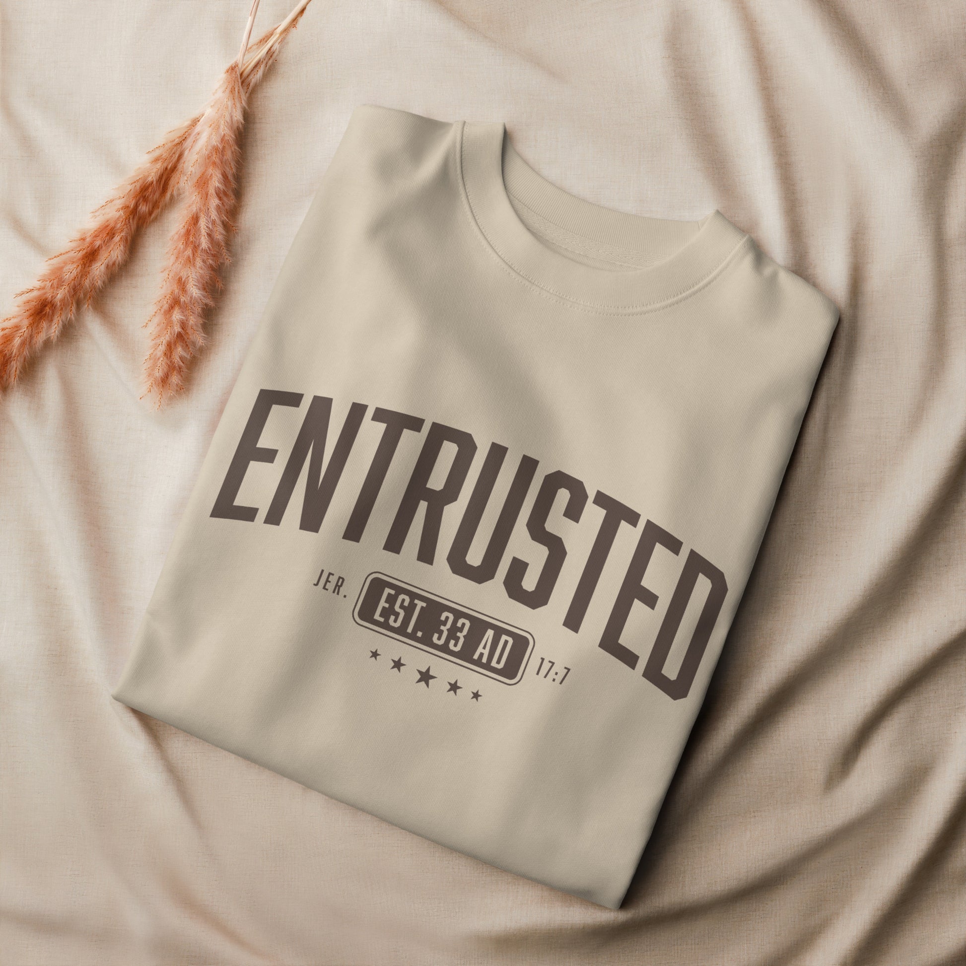 Entrusted Est. 33AD organic sweatshirt desert dust close-up — Entrusted to Him faith apparel