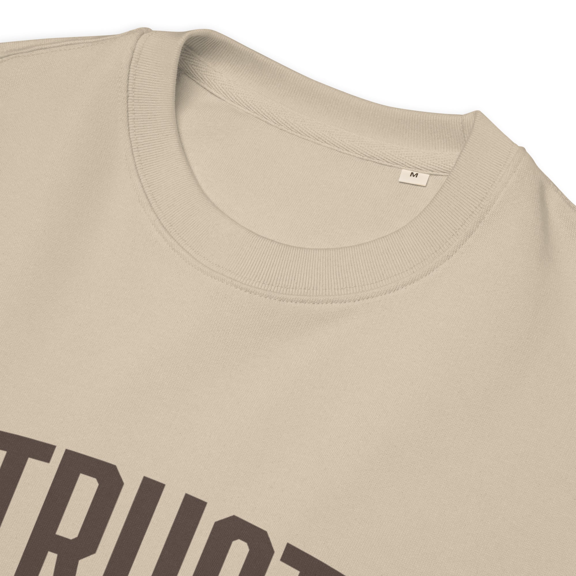 Image of Entrusted Est. 33AD sweatshirt desert dust product details — Entrusted to Him