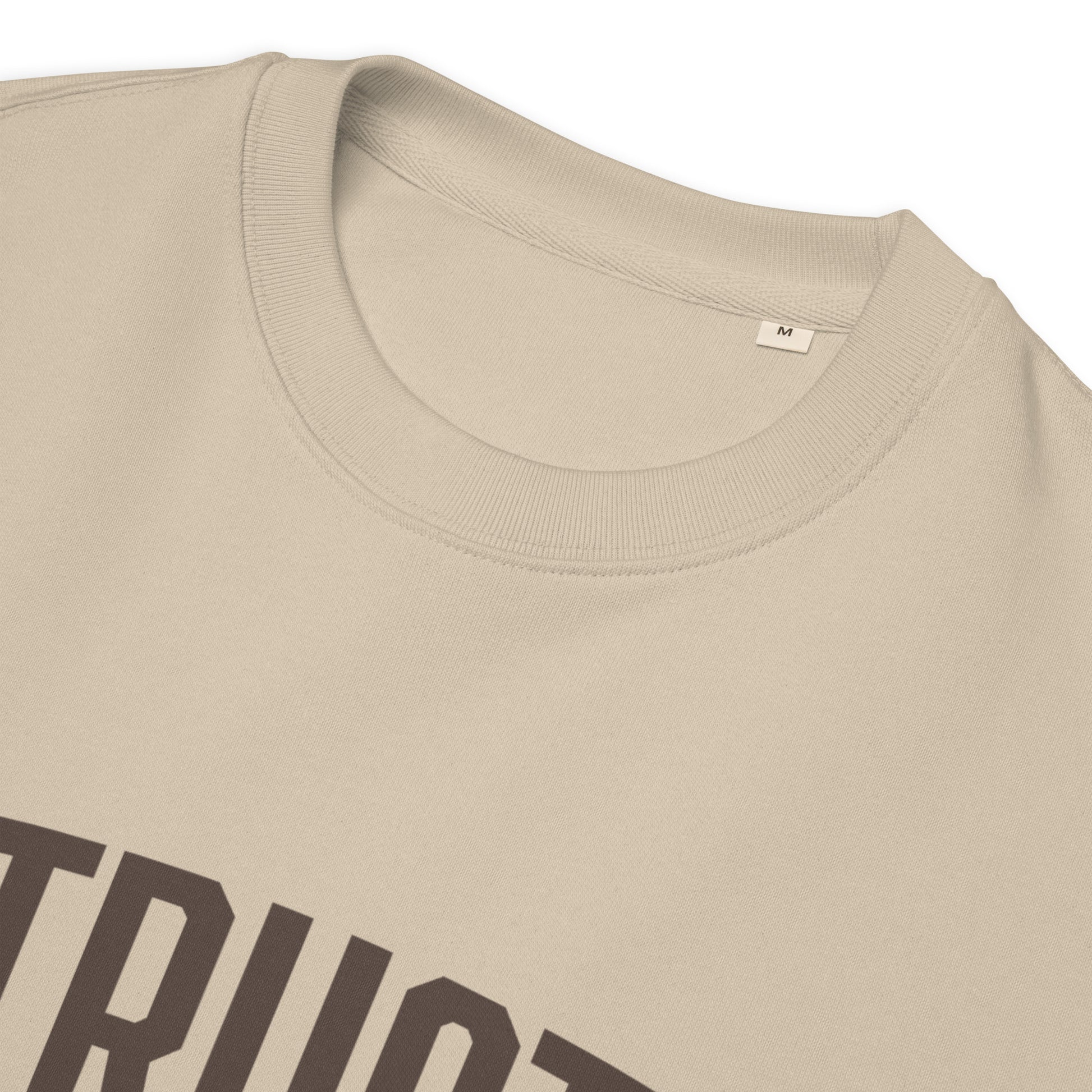 Entrusted Est. 33AD sweatshirt desert dust product details — Entrusted to Him