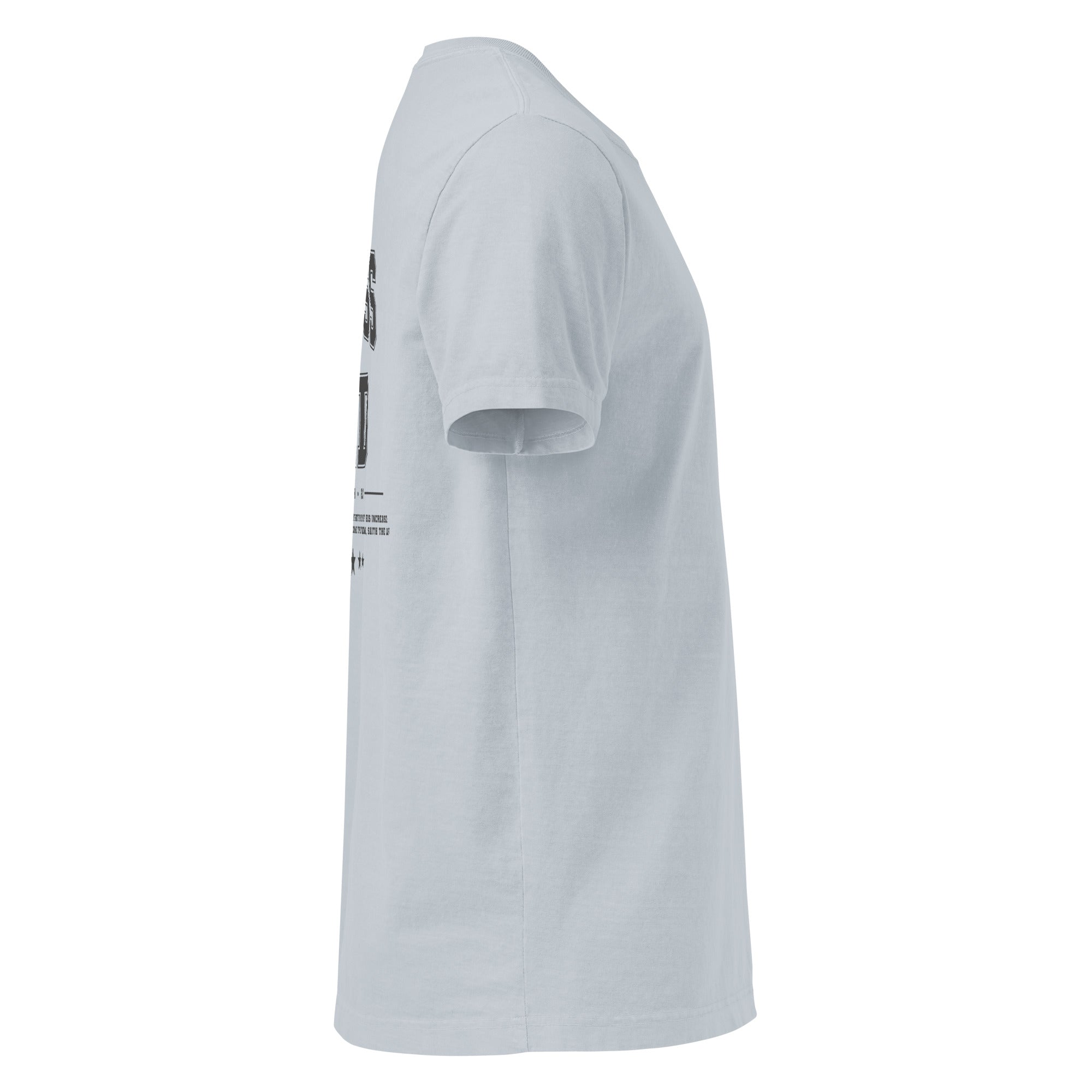 Image of Holiness Unto The Lord Jesus t-shirt light washed denim right side view — Entrusted to Him