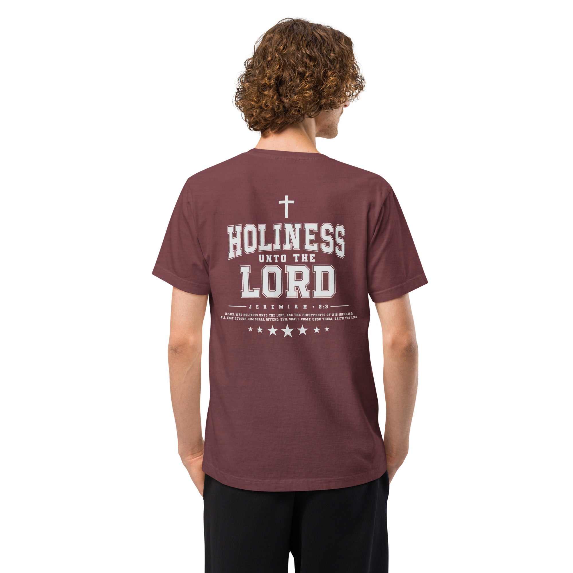 Image of Holiness Unto The Lord Jesus t-shirt washed maroon back alternate view — Entrusted to Him