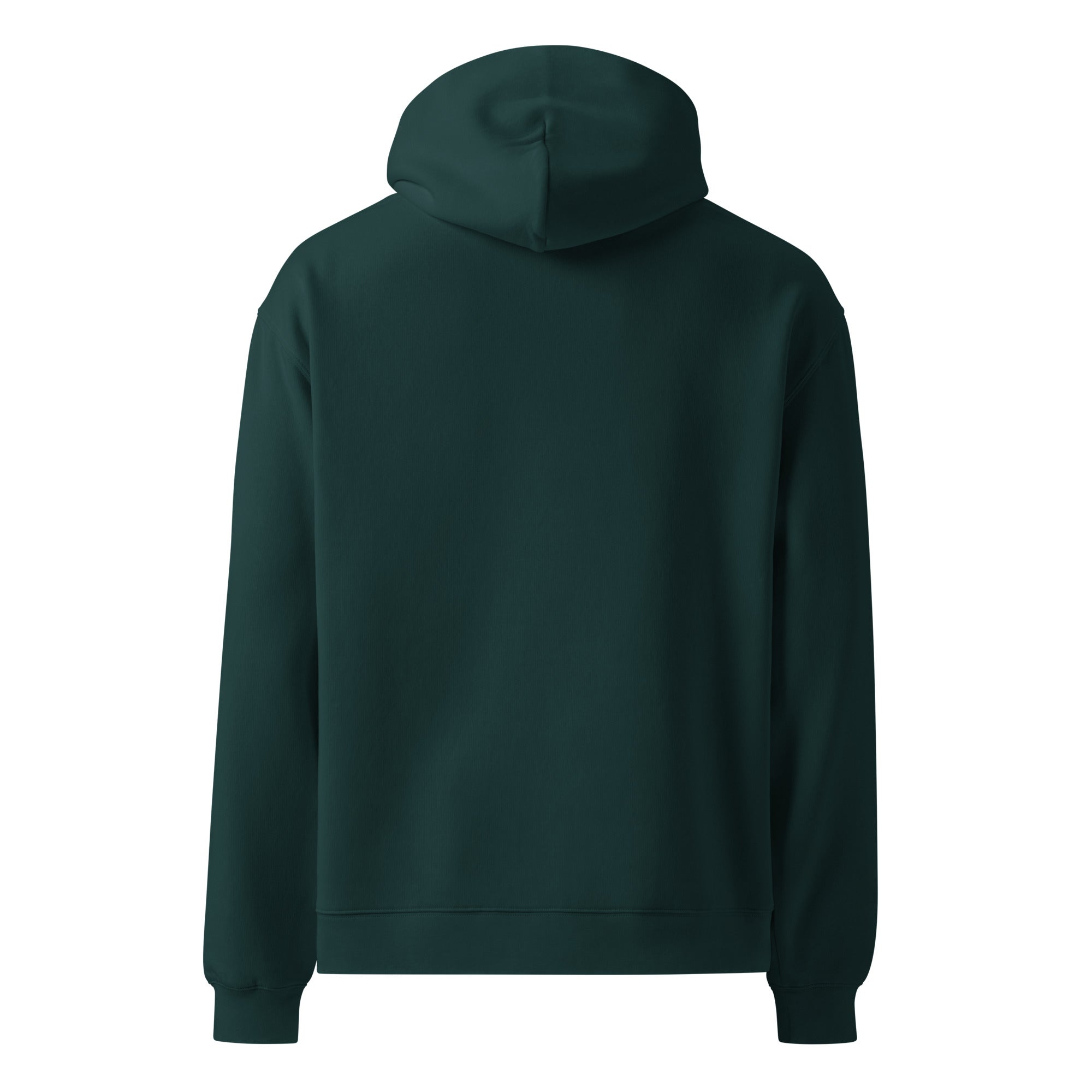 Image of Risen oversized Christian hoodie pine green front view — Entrusted to Him